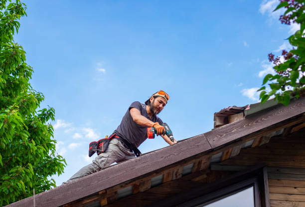 Best Gutter Installation and Repair  in Vancleave, MS