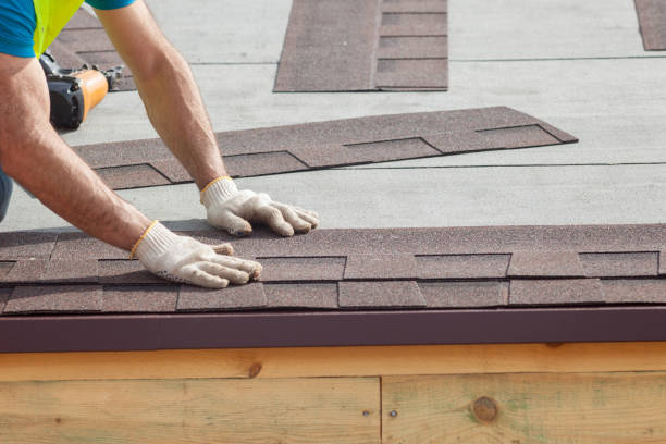 Best Gutter Installation and Repair  in Vancleave, MS
